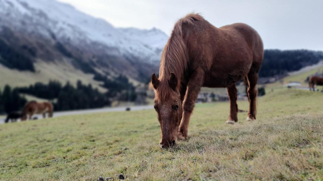 Yeti Lodge Sedrun Zewnętrze zdjęcie