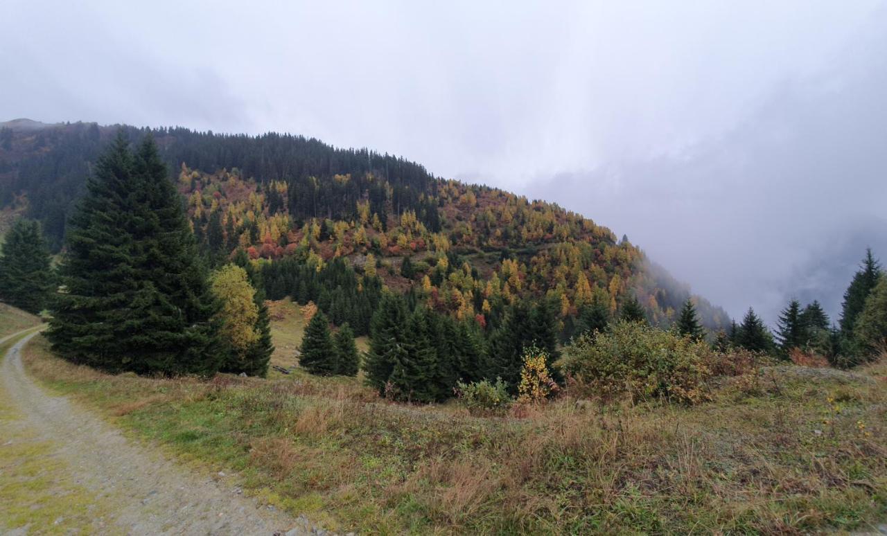 Yeti Lodge Sedrun Zewnętrze zdjęcie